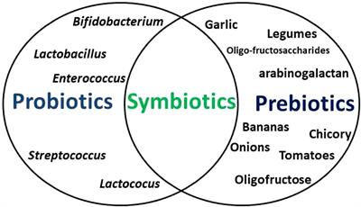 Gut microbiota-gonadal axis: the impact of gut microbiota on reproductive functions